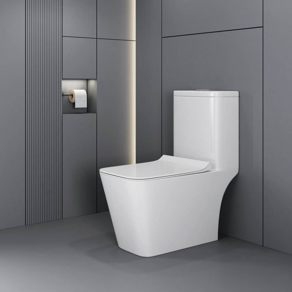 Sanitaryware / One Piece Closet